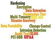 SaaS Governance Controls